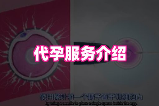 长沙助孕网站 2
